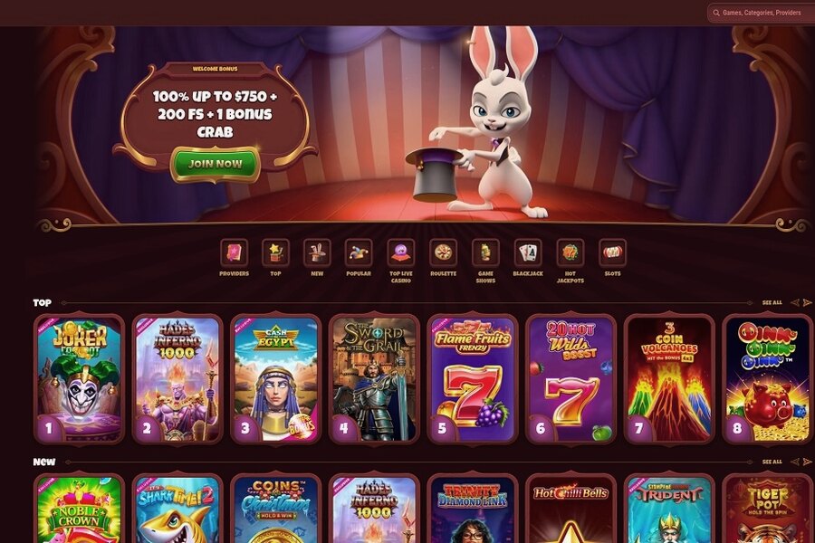 Magius Casino Mobile App: Facile et Pratique APK
